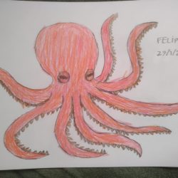 IMG_20260129_144628649