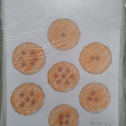 IMG_20260129_145128774-1