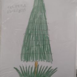 IMG_20260129_145336528-2